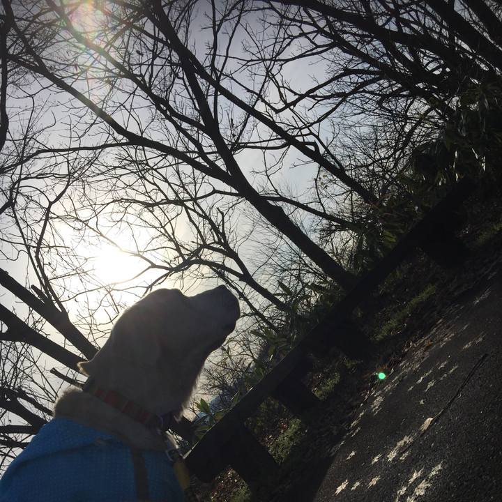 0f2cf047 e38a 4430 8e31 da648311b835 1632305914736