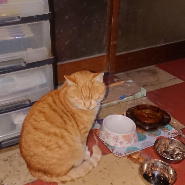 0f2d32f8 274f 4b00 9ee3 bb17e7ef2c78 1577303057380