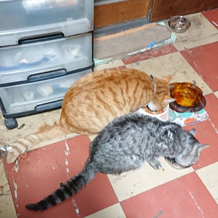 0f2d40a3 22d1 45b5 a5d7 429ca6eee29e 1575665345360