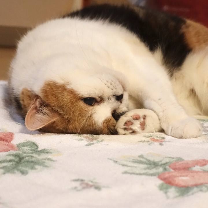 0f2d7fa9 ef51 4f82 849f 780bc5d624b9 1575209032225