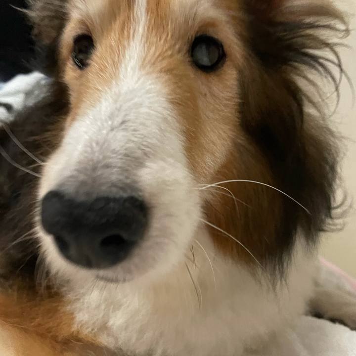 0f2dbc03 064a 43cd 8afe 856c2fdc2353 1630317996566