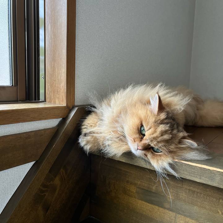 0f2ddbd2 8114 4f84 96ba b9e9a7606981 1719485042496