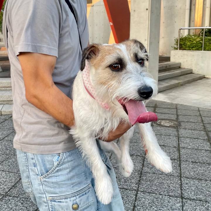 0f2e0b38 1a4e 470e a21a 237f5236558c 1660823468873