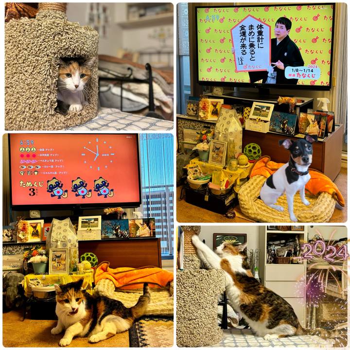 0f2e1e8c a8eb 4253 a771 7d4d952a4a5f 1704666251099