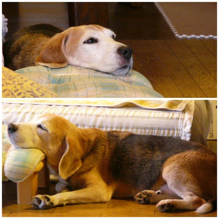 0f2e522a d62e 489d a13c 3fe288c35a1f 1667698034776