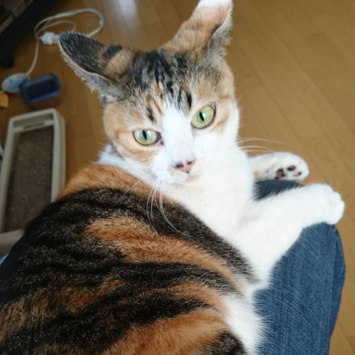 0f2eb101 4168 47e2 8969 7867632f1dba 1556427275192