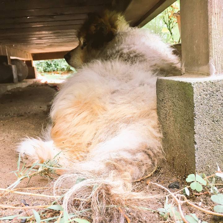 0f2f1b7c c50e 4016 b90f dc20550630df 1584449304055