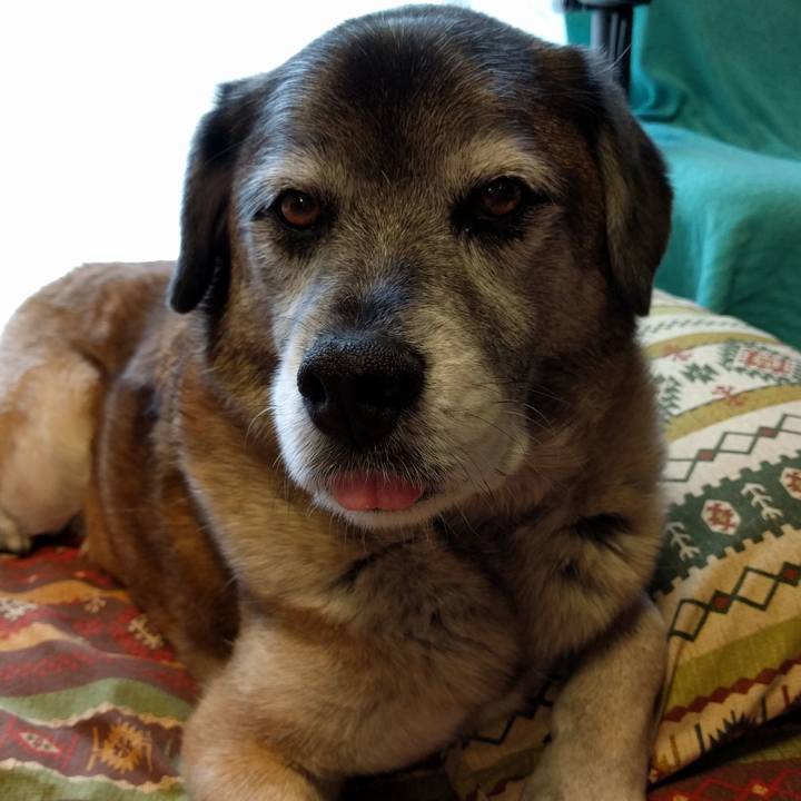 0f2f2bc9 e846 4b93 8308 796533f9a4d9 1521452221267