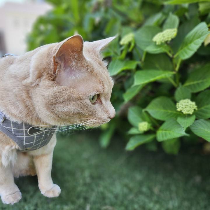 0f2f368a f69c 482e a608 c28b95df0a59 1751096603330