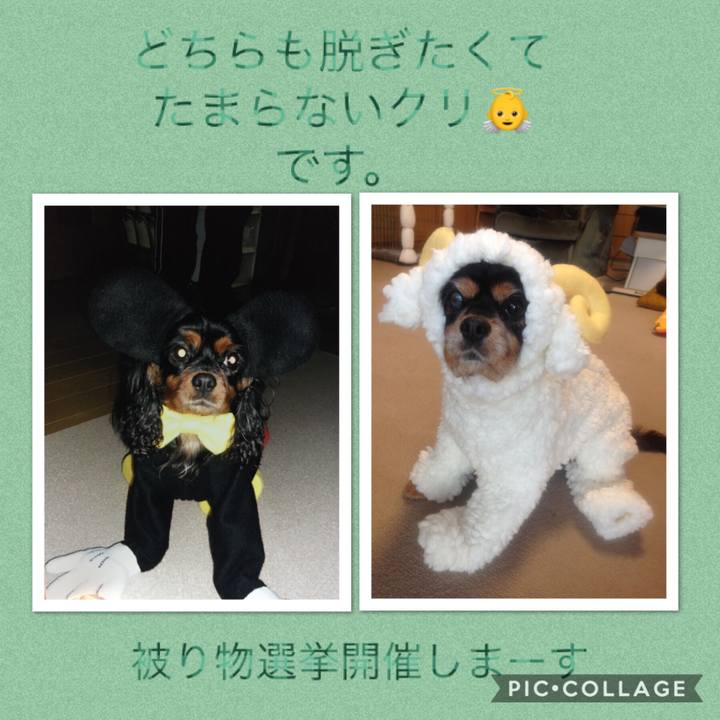 0f2f5c69 42c6 4317 a98e 08b4ca11a5cd 1531390028480