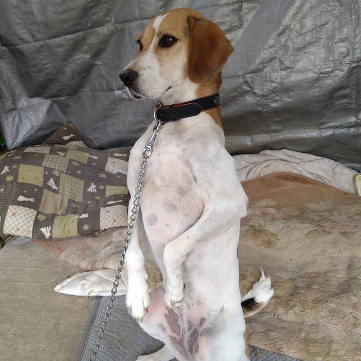 0f2f673f d035 4234 ba2f b4e87630b68c 1660834903071