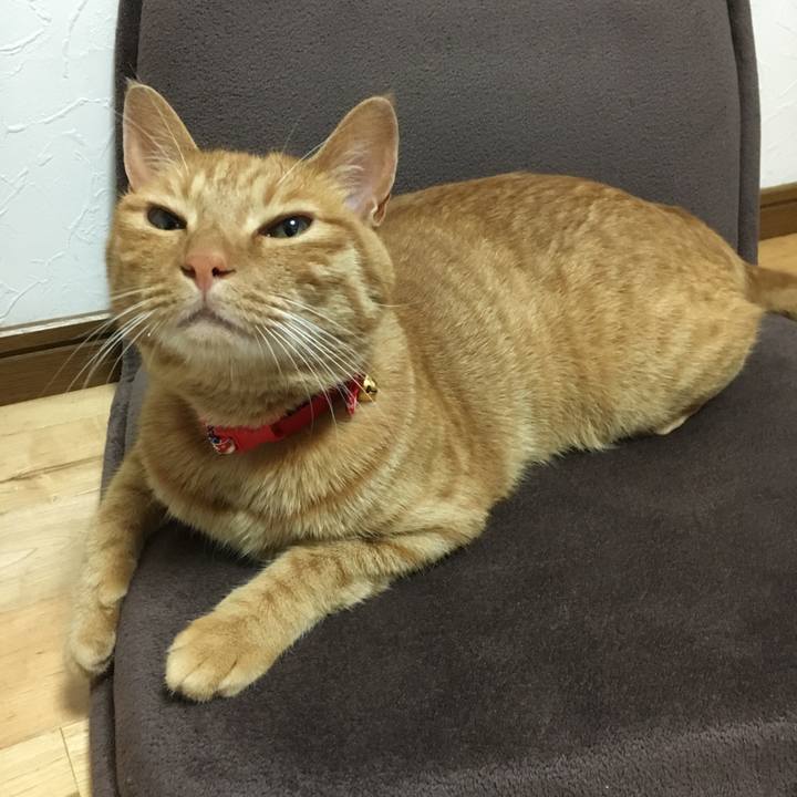 0f2f78aa 0b77 4ba6 9cea 45d5f333a205 1536537751924