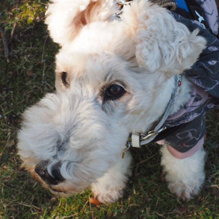 0f2f9bf2 e353 4f0d b783 973ef4171b55 1572672089038