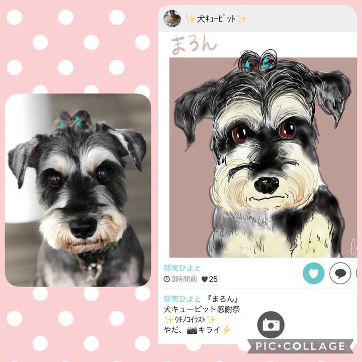 0f2fb187 b9ed 4f96 8c9c 2cffb8bd15b5 1635936267471