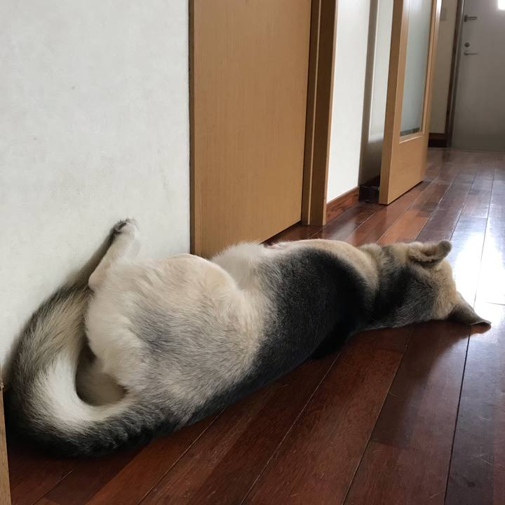 0f2fe402 0f35 4446 a673 10d2c627b7e9 1556340513792