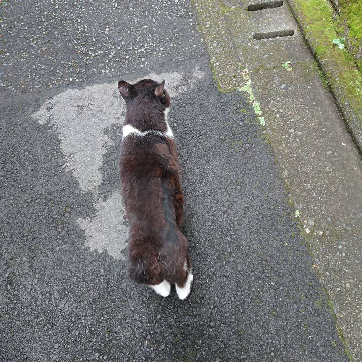 0f3005db 9bed 4473 b6f5 94ea16191e11 1690890272555