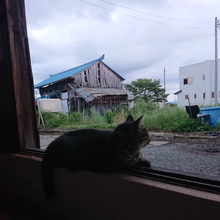 0f300af8 ae90 48a4 af1f a83b204f31fb 1662713761742