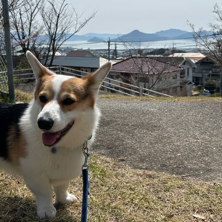 0f302b56 d29a 47f0 8490 24f3c5b172a2 1774589180154