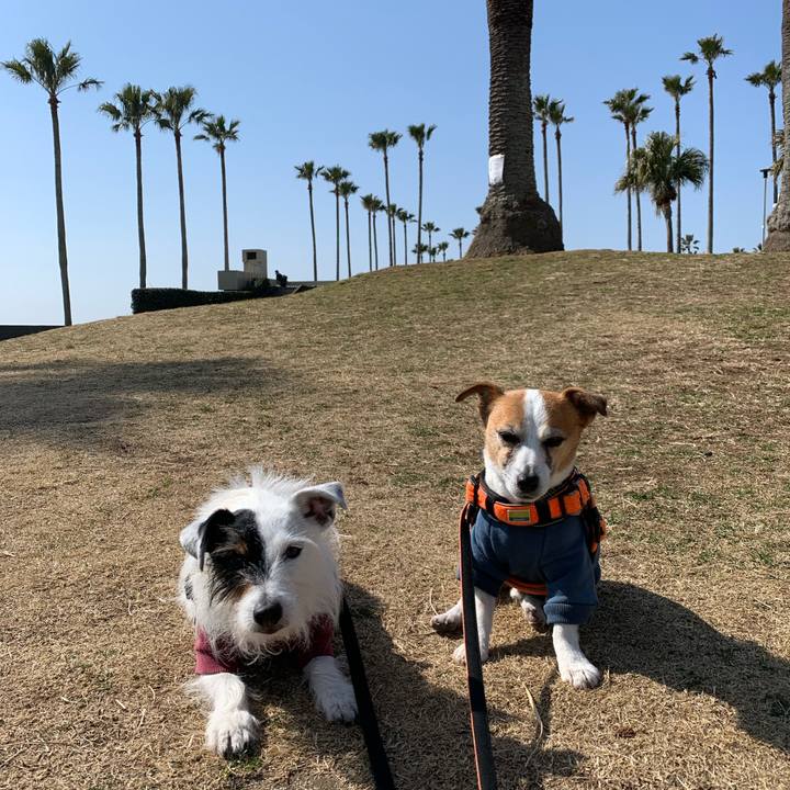 0f30ed82 80cf 44cc ab9d 16be771f6095 1646443617369