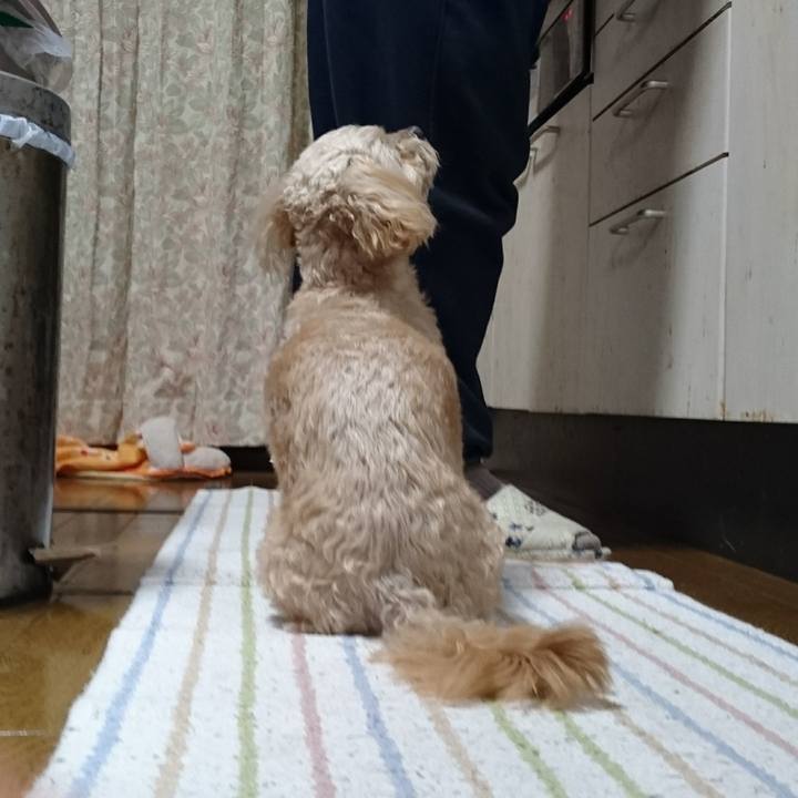 0f30f27d 9100 4bf1 9e0a d4a9baeadc7b 1609320899140