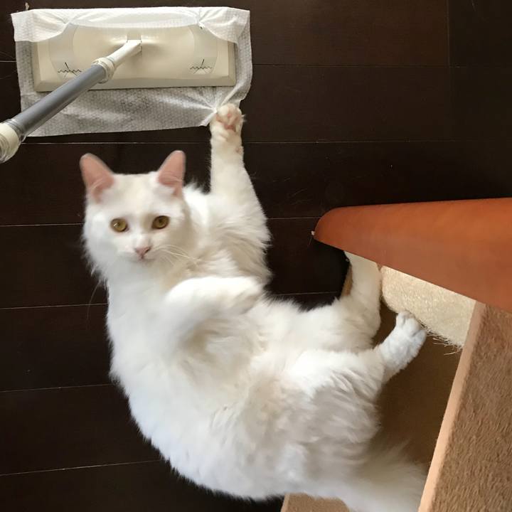 0f3148ce fb0f 4599 b3ab ccb2fd36b78e 1524632093111