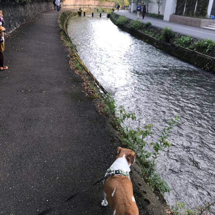 0f3168b1 b60d 4f7f 95ea bbf559c3f1bf 1570950686266