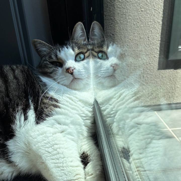 0f3182d4 3524 4550 8e7d ea39519c25e1 1757036632469