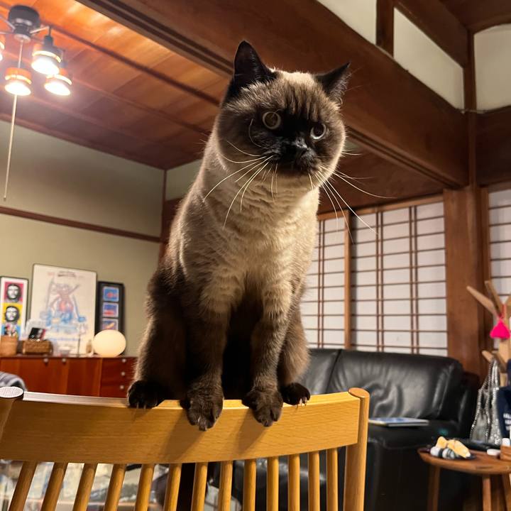 0f318a4c e7d0 41f5 91b2 8ec64d11c1d7 1668396091716