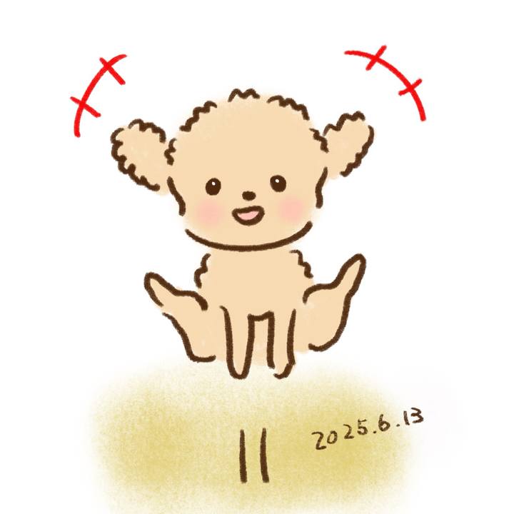 0f31b0f0 fcd3 42e9 a2ec c2792e1cb76f 1749820088339