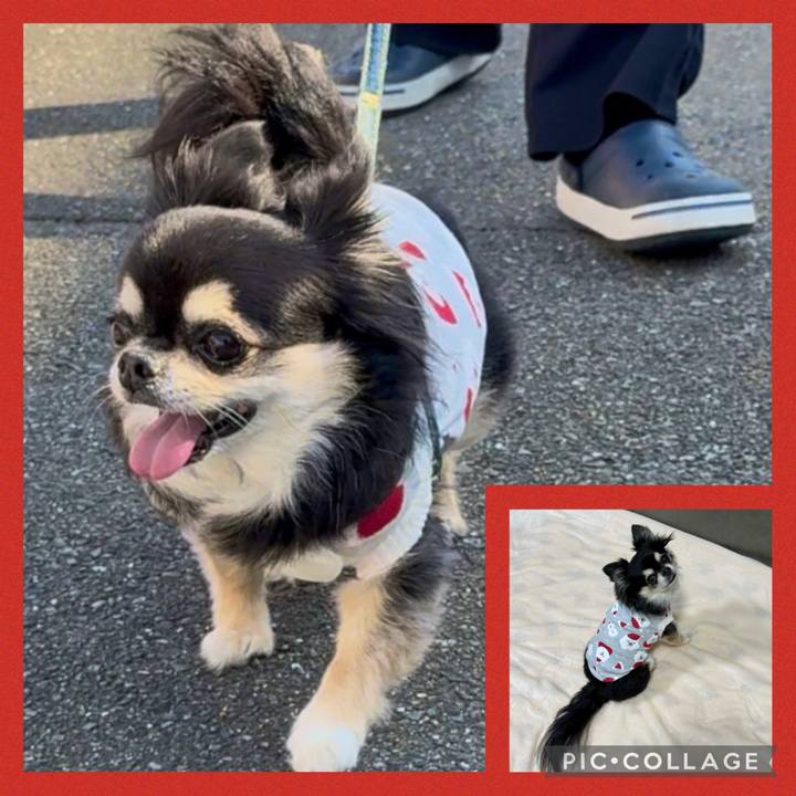 0f31b112 c4d1 48c1 8187 ec3a1f4fd23b 1731812996758