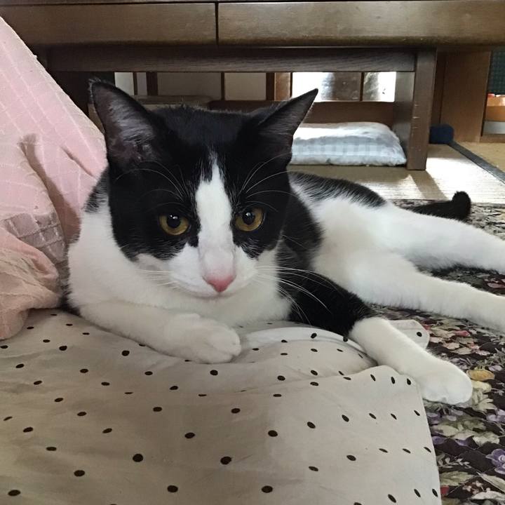 0f32272d cae2 477a bf10 9dac1e50f234 1653895730977