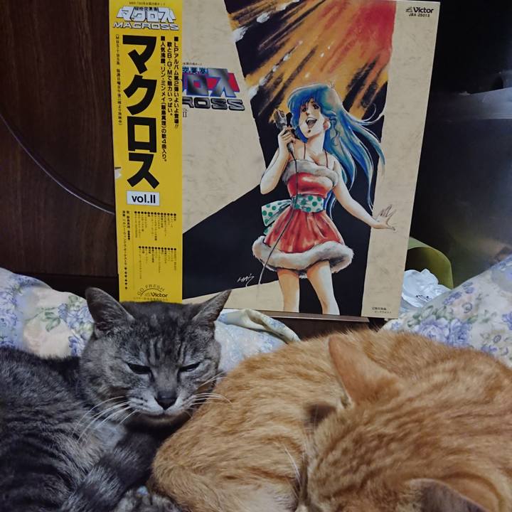 0f324172 644d 4160 81ee 8ffa7cdcf11c 1590753972896