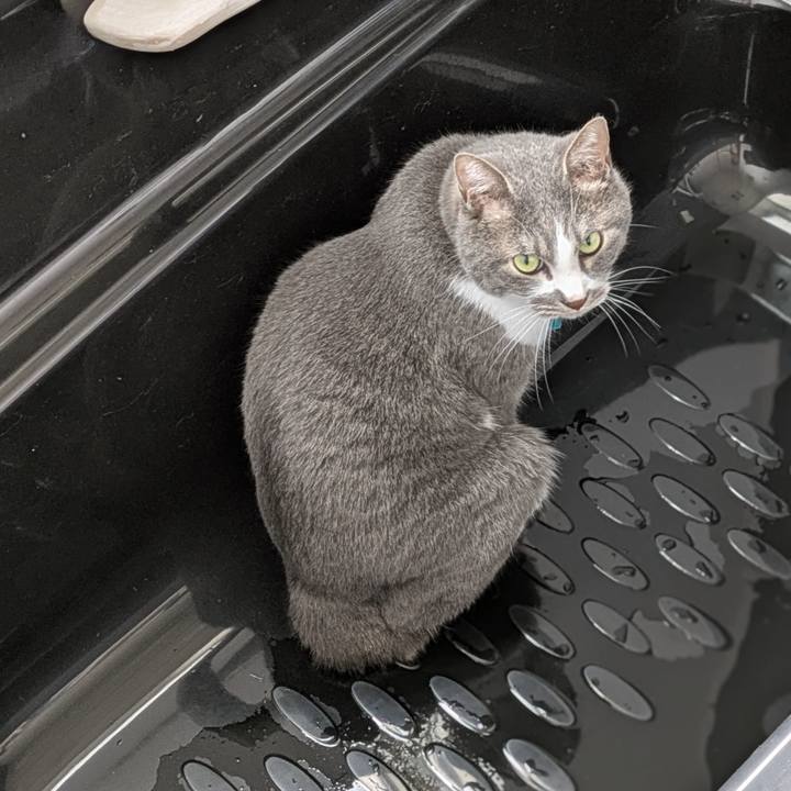 0f32a52b 2565 493e 9e25 ad10c965eed5 1745632393485