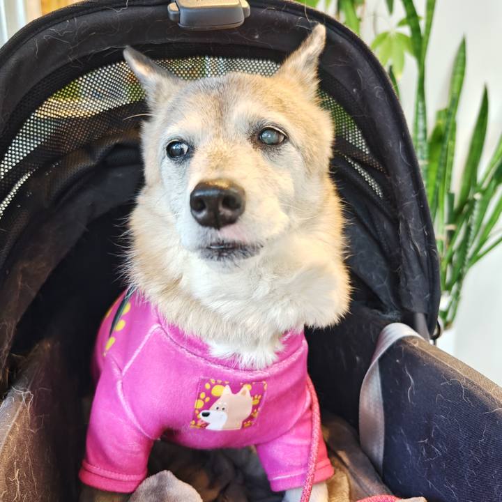 0f32a73d 0772 4c4f 9bea 5b4df060c6cf 1769757341057