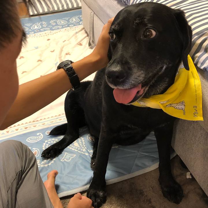 0f32a8f6 878d 46e6 8924 b96c15159d04 1567309340162