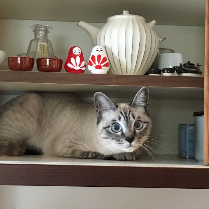 0f32becd 8544 4786 89b0 a183050bc16b 1553992983179