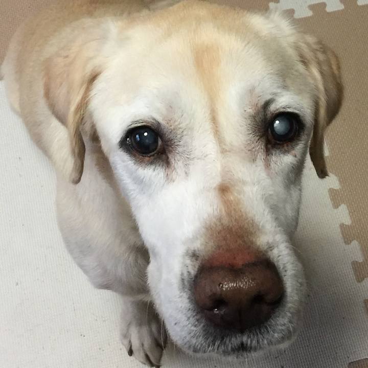 0f32c7de 3245 410d a31f 855e30011523 1515568837587