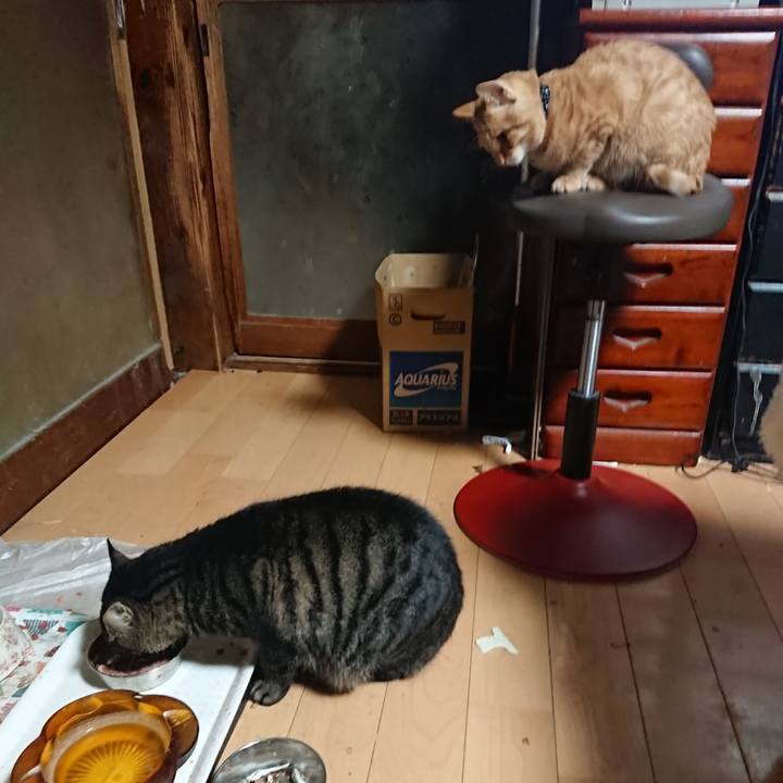 0f32c88e 4cab 4271 8569 2deb61c95f1a 1636074210189