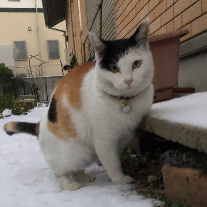 0f32de0e ee0b 44c4 b54c 388aea1f978d 1610166288903