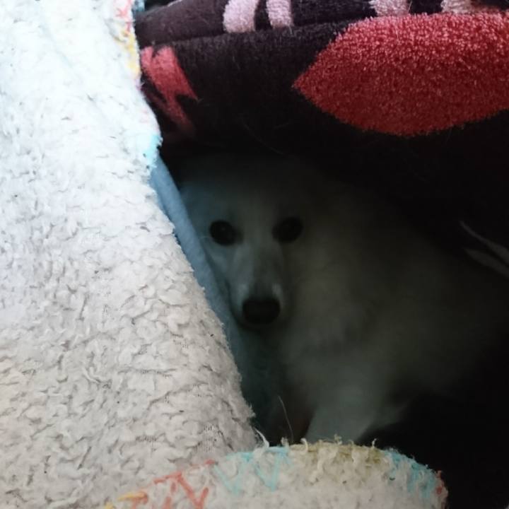 0f330214 d045 414e ac9b 2484f16a5c32 1515739771499