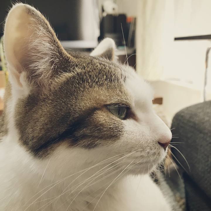 0f3312a1 43e6 4e99 abd1 c4057b498b88 1511242142416