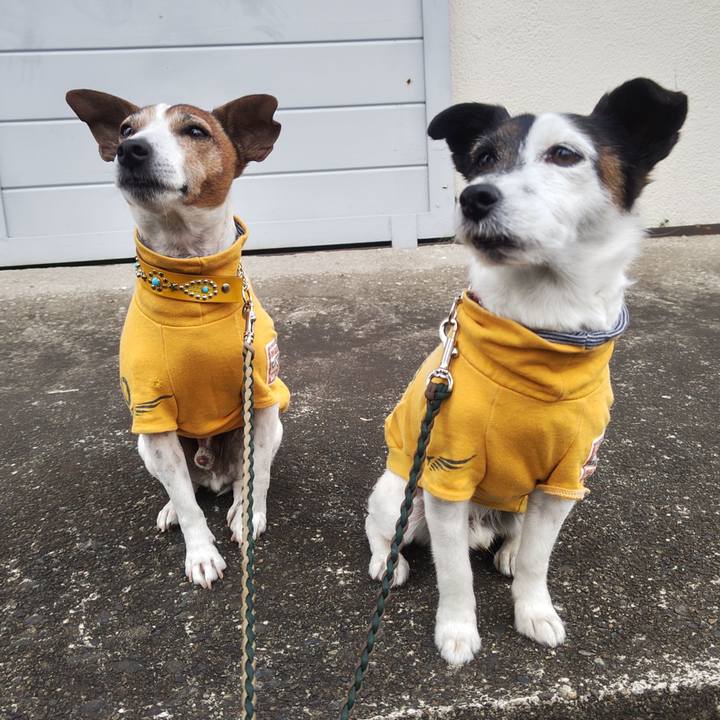 0f336f50 fbe5 4f88 ae89 b7f797020887 1773697864735