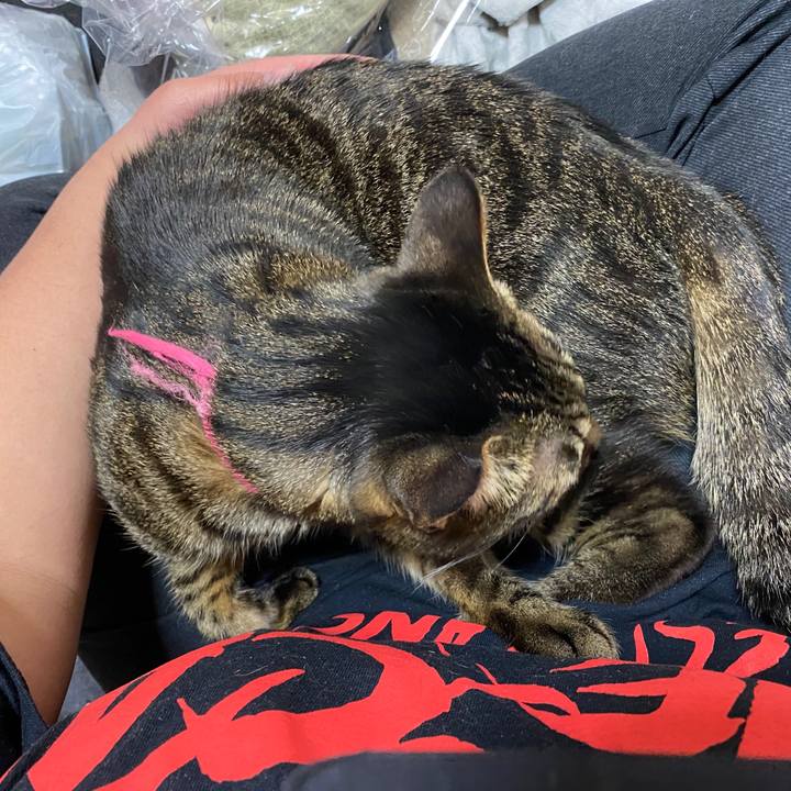 0f337d52 fa91 4092 ad7f 7dba5867ce78 1617672453916