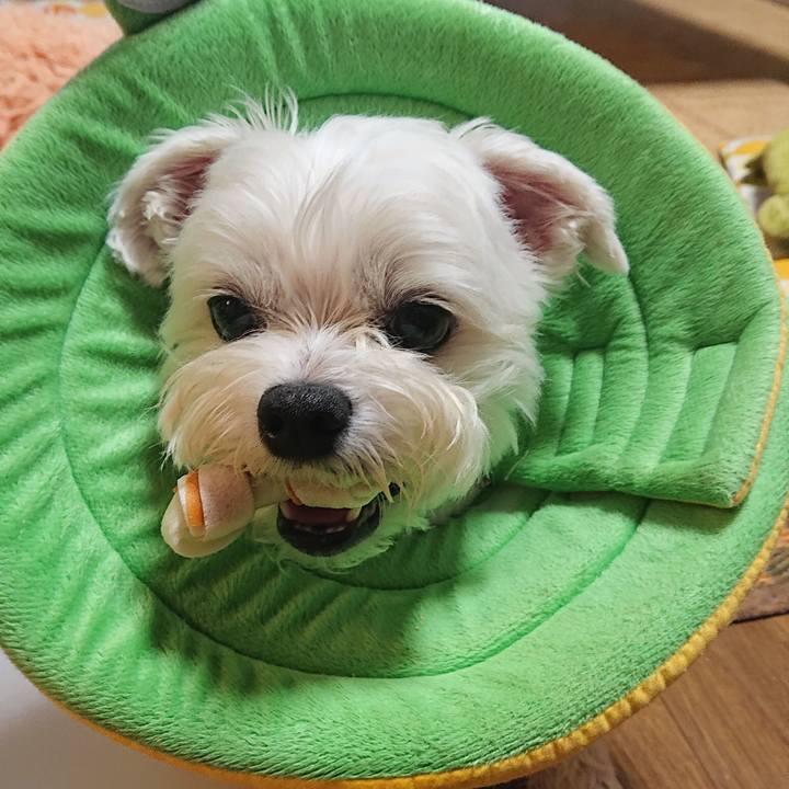 0f338871 1c3d 4662 9ad7 32a276fd0f27 1593166937396