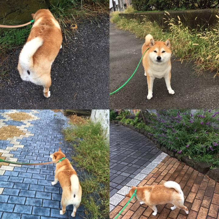 0f33b22e 1abf 49c1 a079 54f8d5df420a 1600905771796