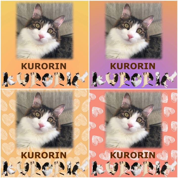 0f33b653 e53b 46da a0dc e2686e9e22c2 1668000788537