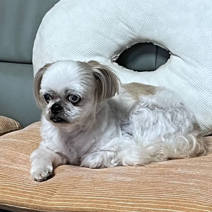 0f33d48e 4d31 4a80 adf3 c07f4a98af06 1688472681305