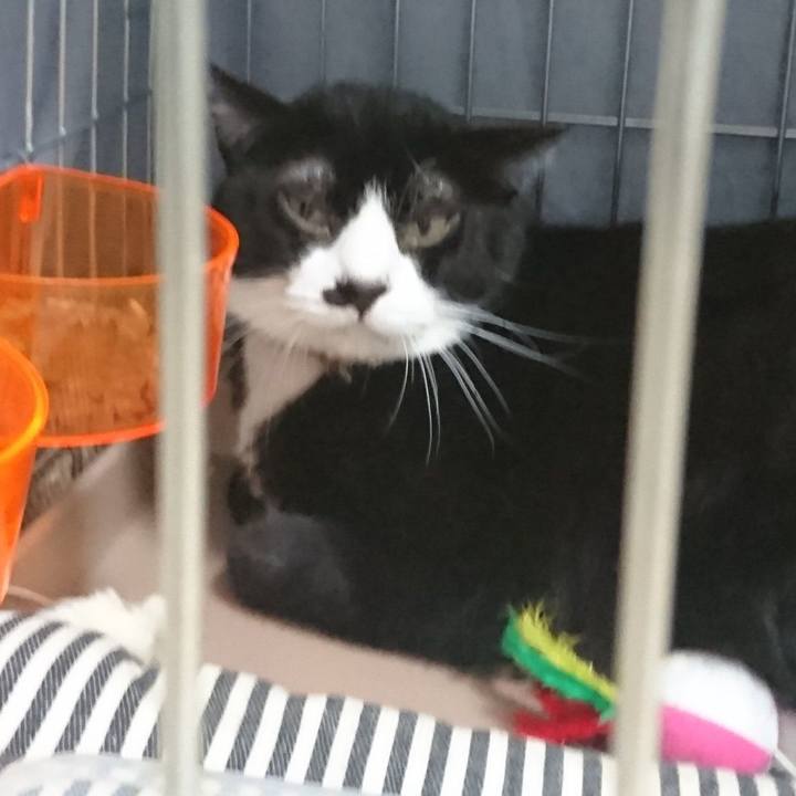 0f33fe2b 021d 41fb b82b 05b823aa72a7 1660397250195