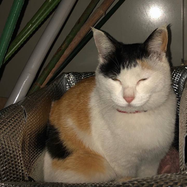 0f3409b1 37c8 498a be94 1d0992bd9656 1634902029167