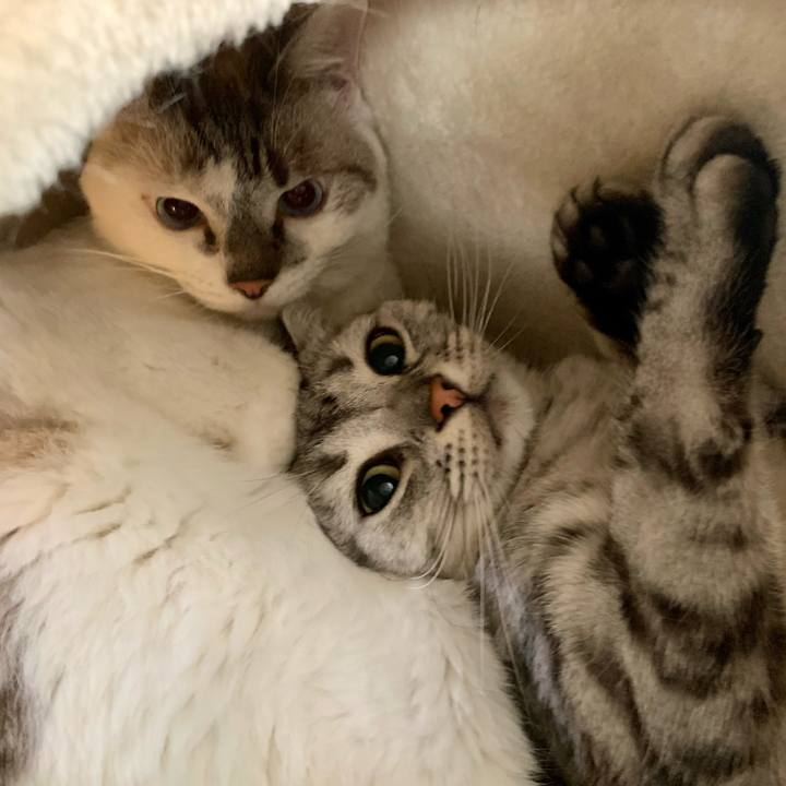 0f345be3 7201 41c2 886b 48dde8ebeb4b 1630033274886